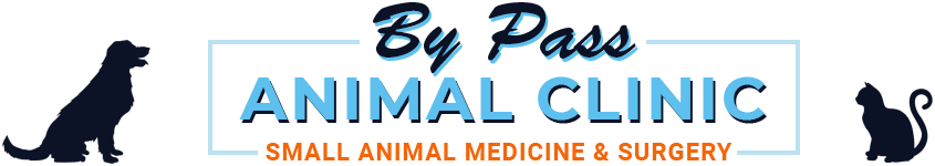By Pass Animal Clinic — Small Animal Medicine and Surgery