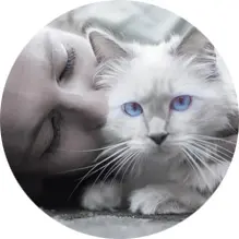 A white cat with blue eyes beside a person’s face